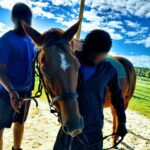 teamwork_reblur ocala djj